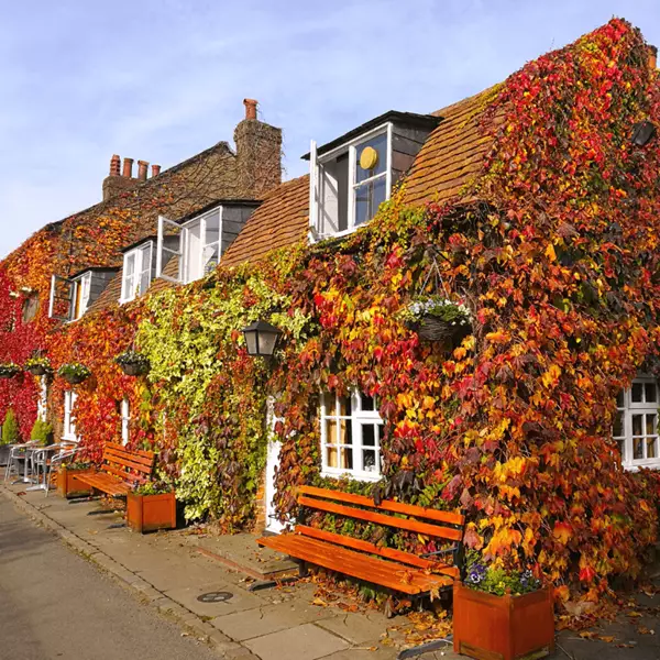 Bricklayers Arms 800X800